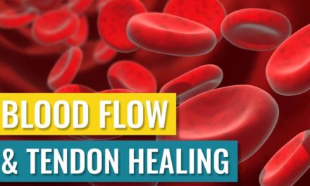Blood Flow and Tendon Healing