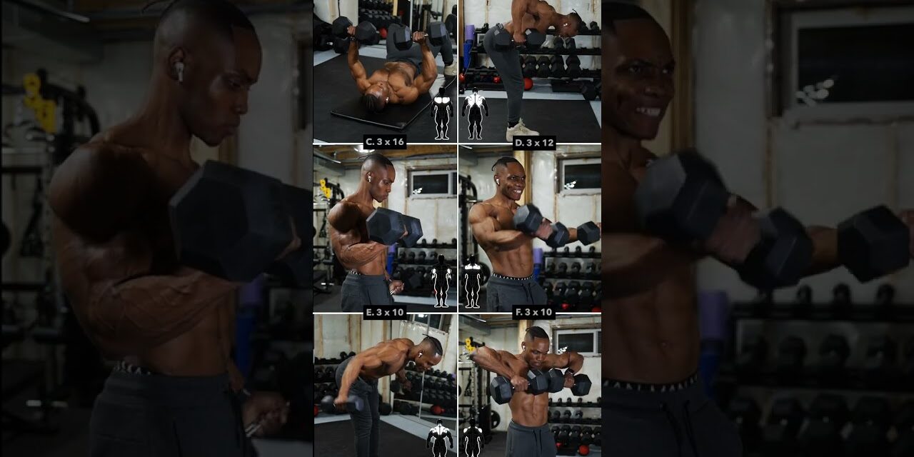 Dumbbell UPPERBODY Workout (No Bench) #1