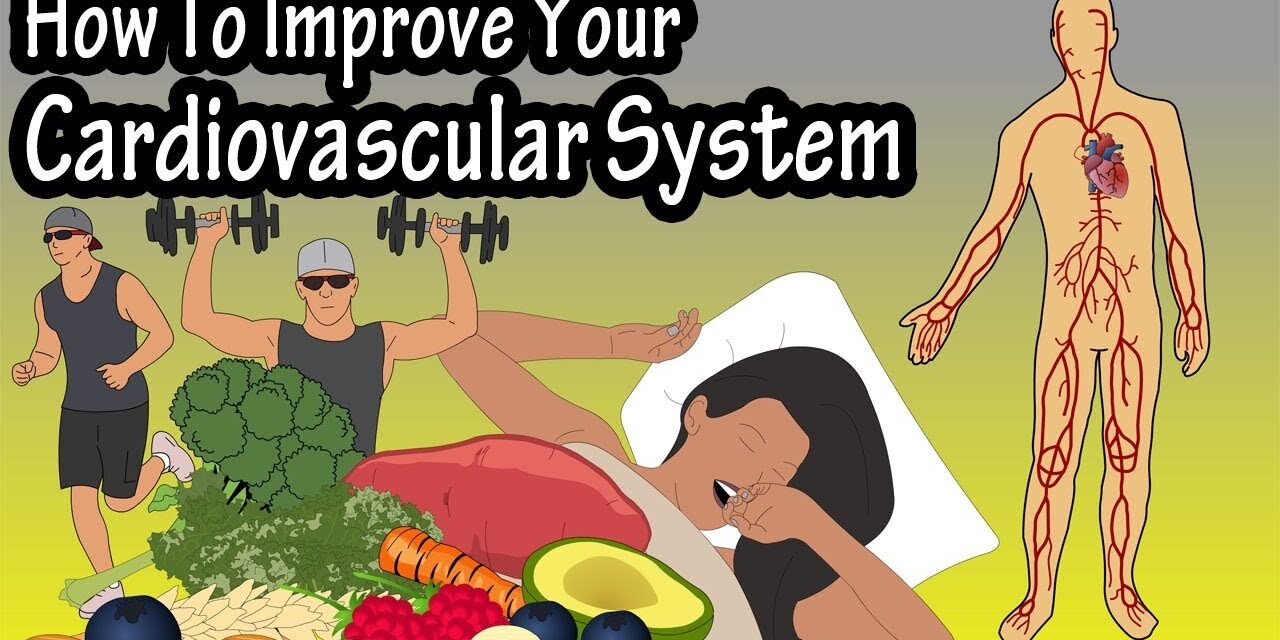 How To Improve Increase Your Cardiovascular System, Heart Rate, Endurance, Stamina And Fitness