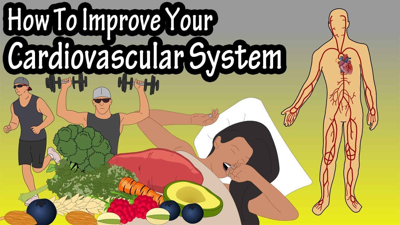 How To Improve Increase Your Cardiovascular System, Heart Rate, Endurance, Stamina And Fitness