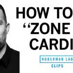 How & Why to Get Weekly "Zone 2" Cardio Workouts | Dr. Andrew Huberman