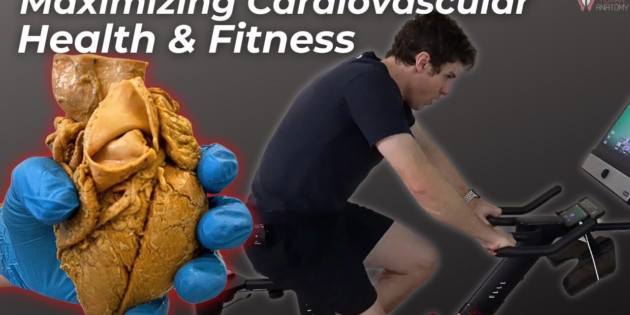 How to Maximize Cardiovascular Health & Fitness | Ft: Yesoul Exercise Bike, Rowing Machine&Treadmill