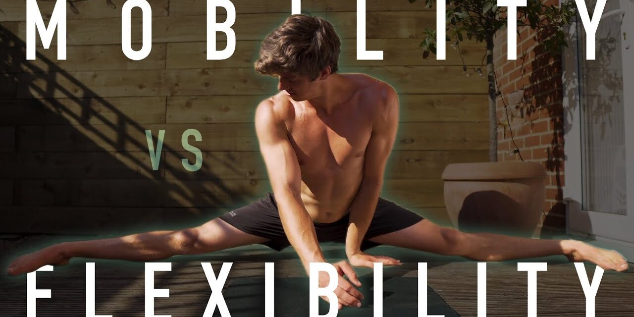 Mobility vs Flexibility | Which Is BETTER?!