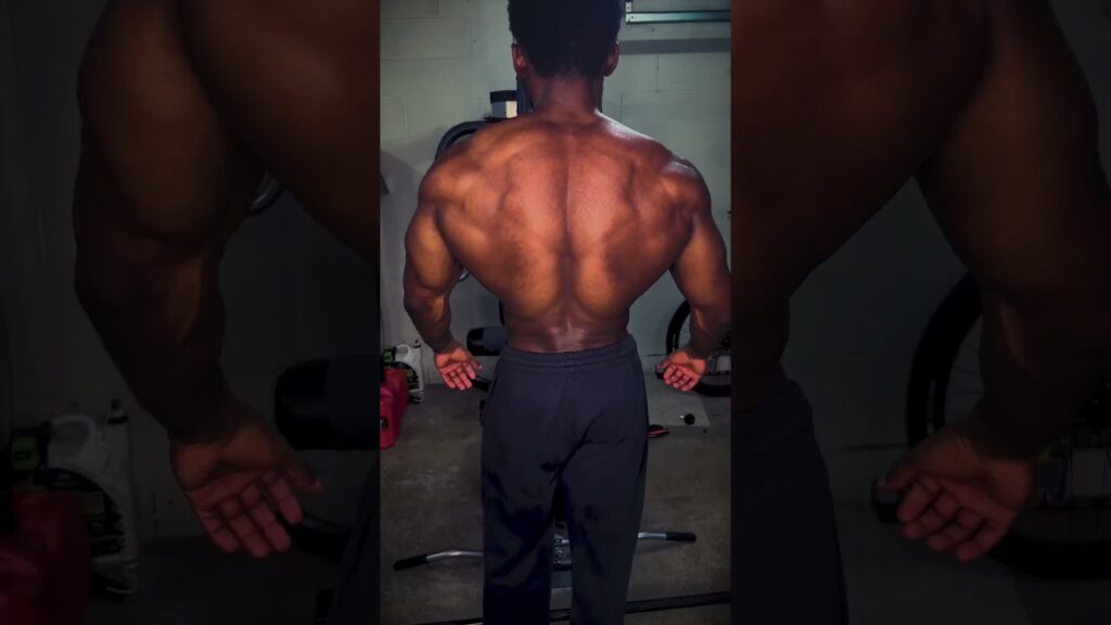 Home Gym Back Workout