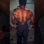 Home Gym Back Workout
