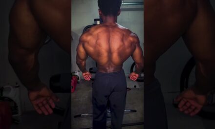 Home Gym Back Workout