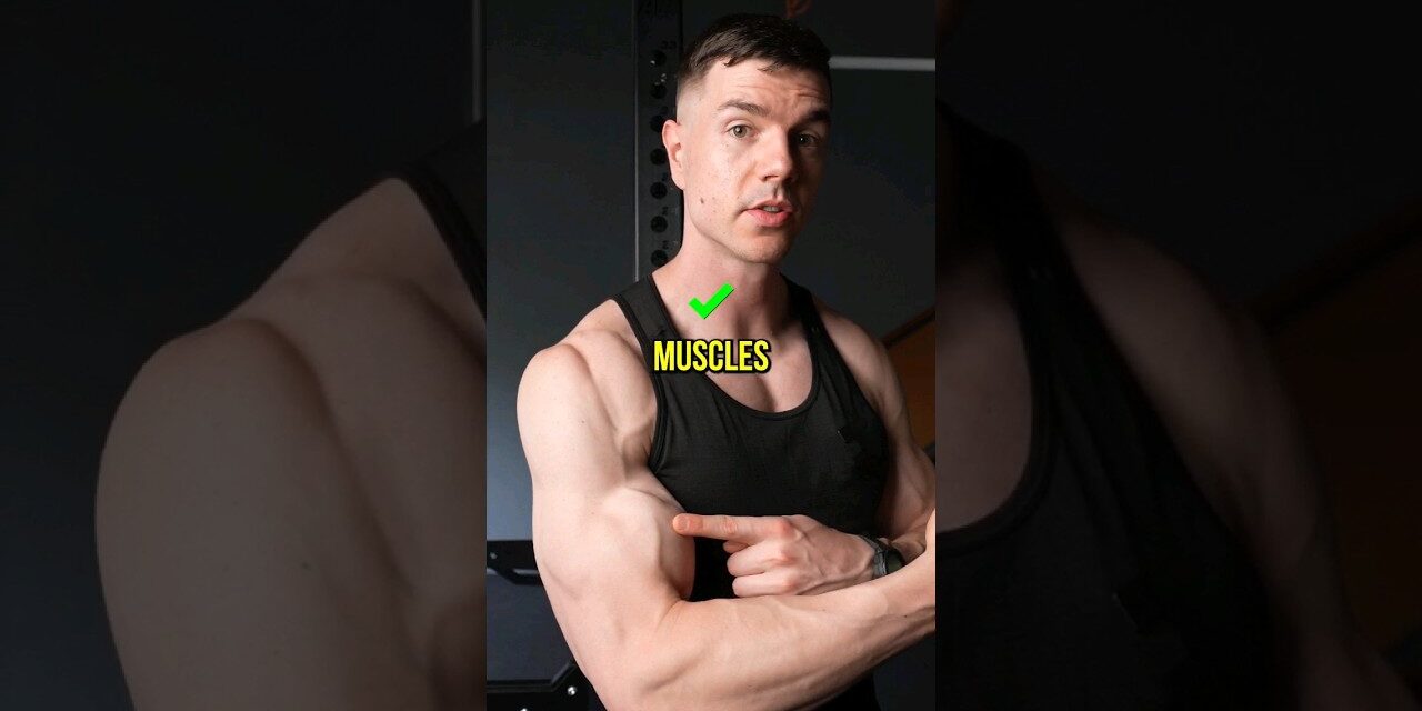 Muscle Building Vs Strength Training