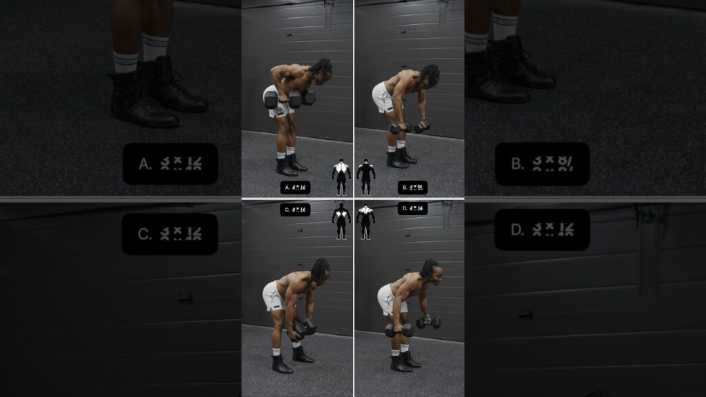 dumbbell only back day workout