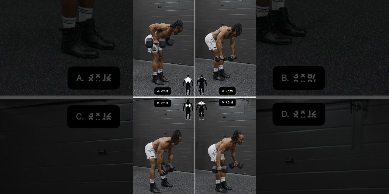 dumbbell only back day workout