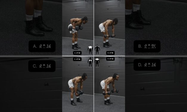 dumbbell only back day workout