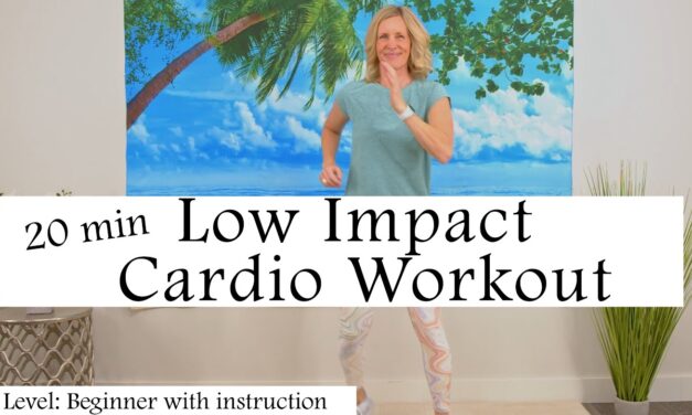 20 minute Low Impact Cardio Workout for Seniors and Beginners