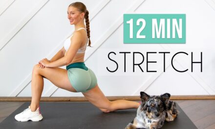 7 ESSENTIAL STRETCHES YOU NEED TO DO DAILY! (12 min Stretch for Flexibility & Mobility)