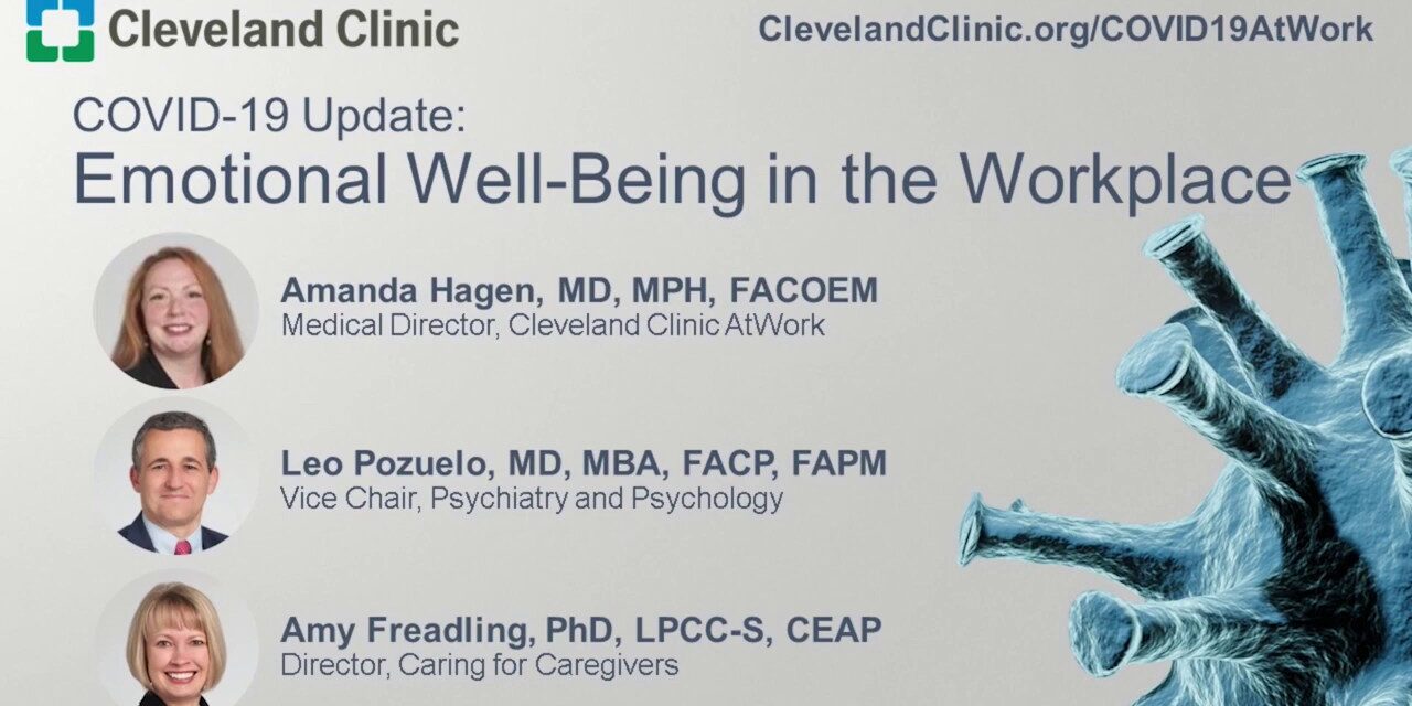 Emotional Well-Being in the Workplace