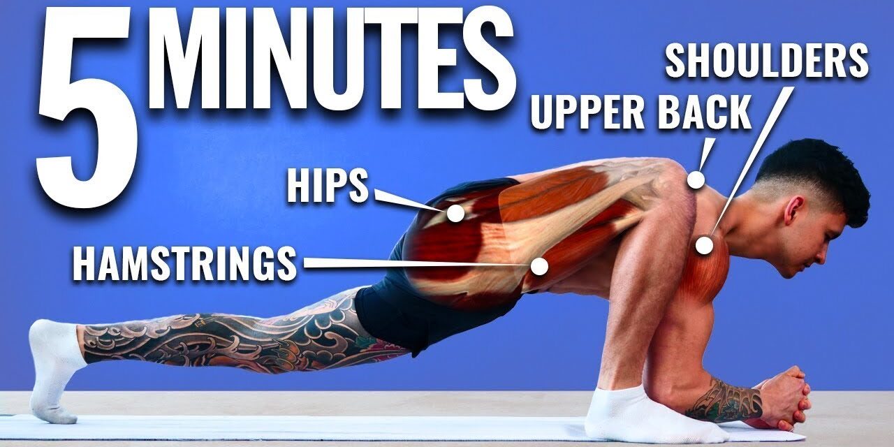 How To Unlock Your Mobility in 5 Minutes (DAILY STRETCH)