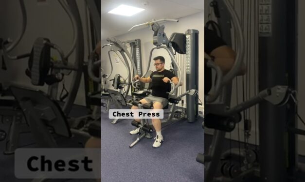 Multi-Gym Workouts for Beginners