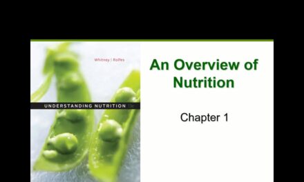 Nutrition Overview (Chapter 1)