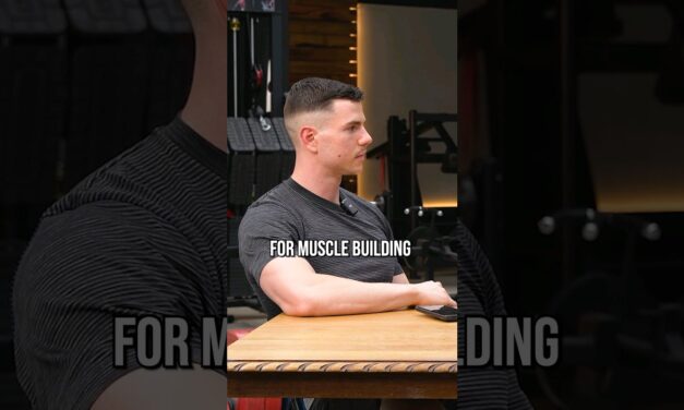 The Difference Between Hypertrophy And Strength Training