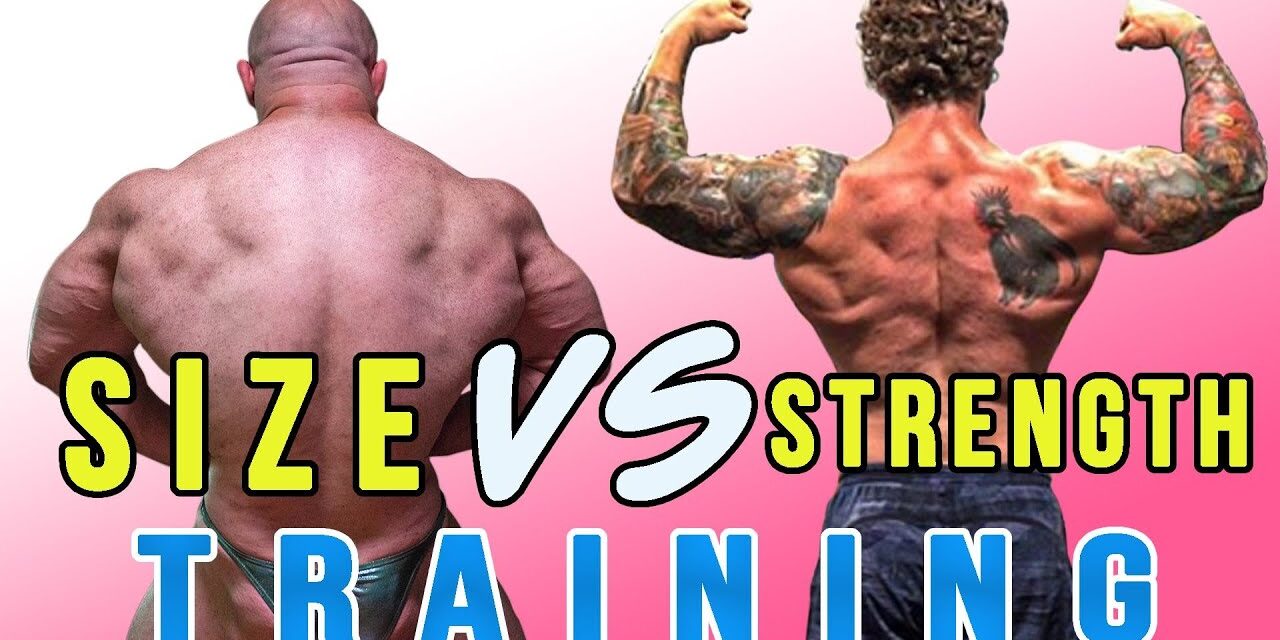 The Differences Between Training for Size Vs Strength