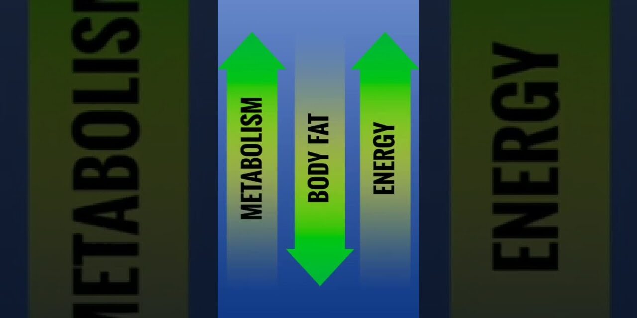 weight loss drink | belly fat tea | fat burning drinks | weight loss tips #weightloss #fatlossdrink